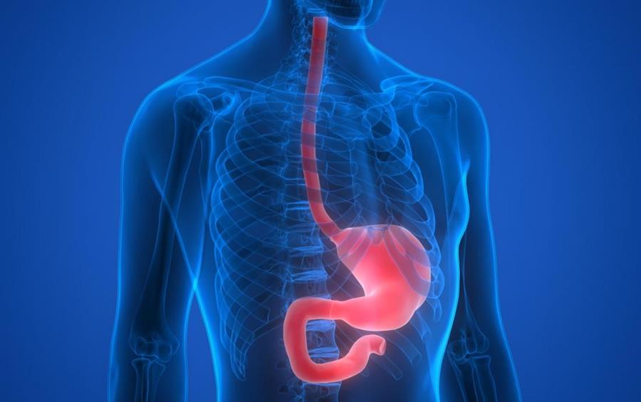 February 2025 Thoracic Surgery Newsletter